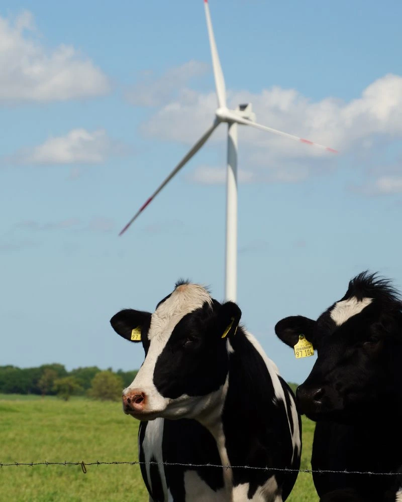 Windpark in ländlicher Landschaft – Deutsche WindXperts Projekte